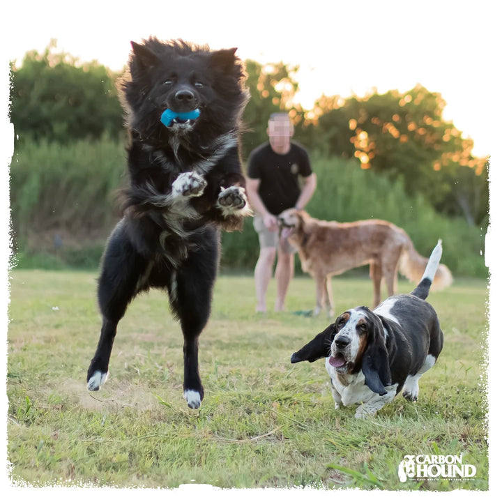 Carbon Hound Frag Munch Glow Dog Toy Replica