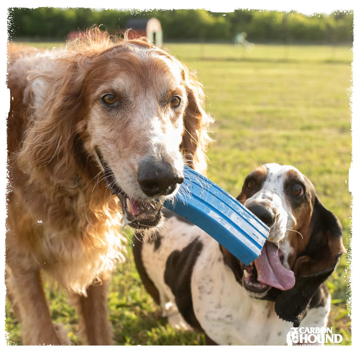 Carbon Hound Mag Munch MKII Dog Toy Replica