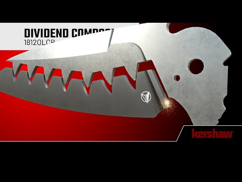 Kershaw Dividend Composite Blade Folding Knife - Olive
