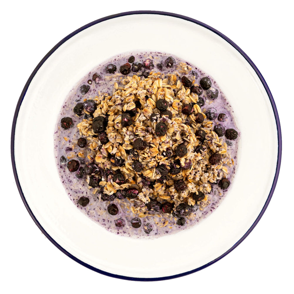 Supplies - Provisions - Food - Mountain House Granola With Milk And Blueberries 2-Serving Pouch
